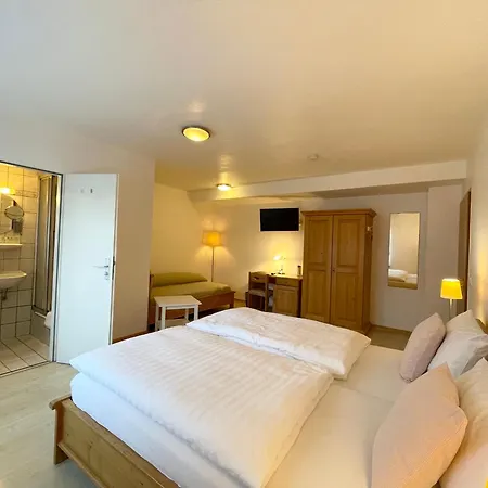 Hotel Hotel-pension Hommen Koblenz (Rhineland-Palatinate)