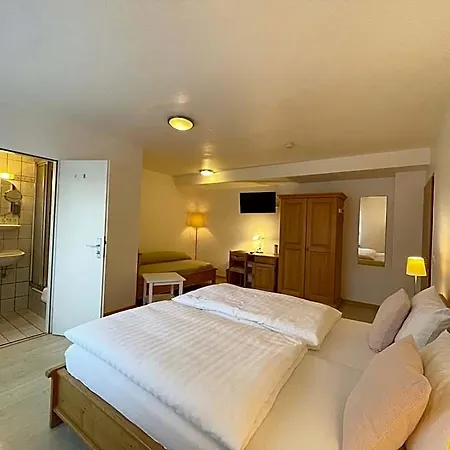 호텔 Hotel-pension Hommen 3*