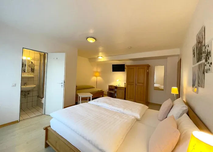 호텔 Hotel-pension Hommen 코블렌츠